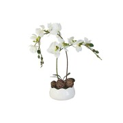 Декоративные цветы Орхидея белаяна керамической подставке