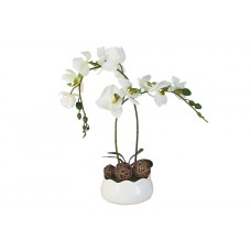 Декоративные цветы Орхидея белаяна керамической подставке