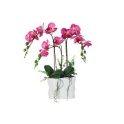 Декоративные цветы Орхидея тем розовая в керамической вазе