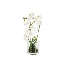 Декоративные цветы Орхидея белая в стеклянной вазе
